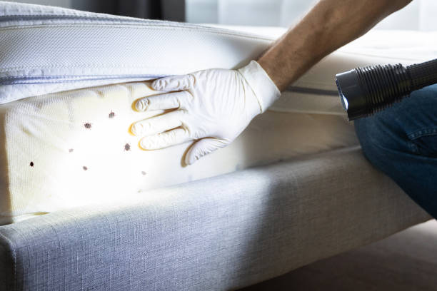 Pest Prevention Services in Ketchikan, AK