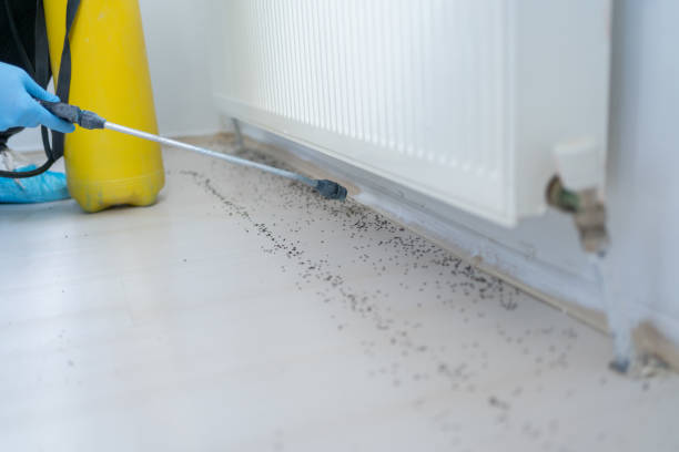 Best Commercial Pest Control Services  in Ketchikan, AK